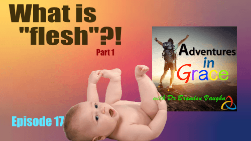 What is the "flesh"? (Part 1)