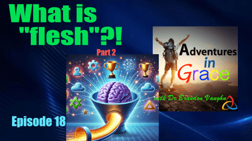 What is the "flesh"? (Part 2)