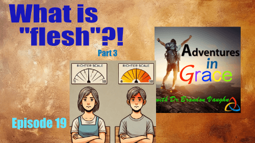 What is the "flesh"? (Part 3)