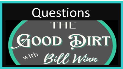 Episode 38 Questions
