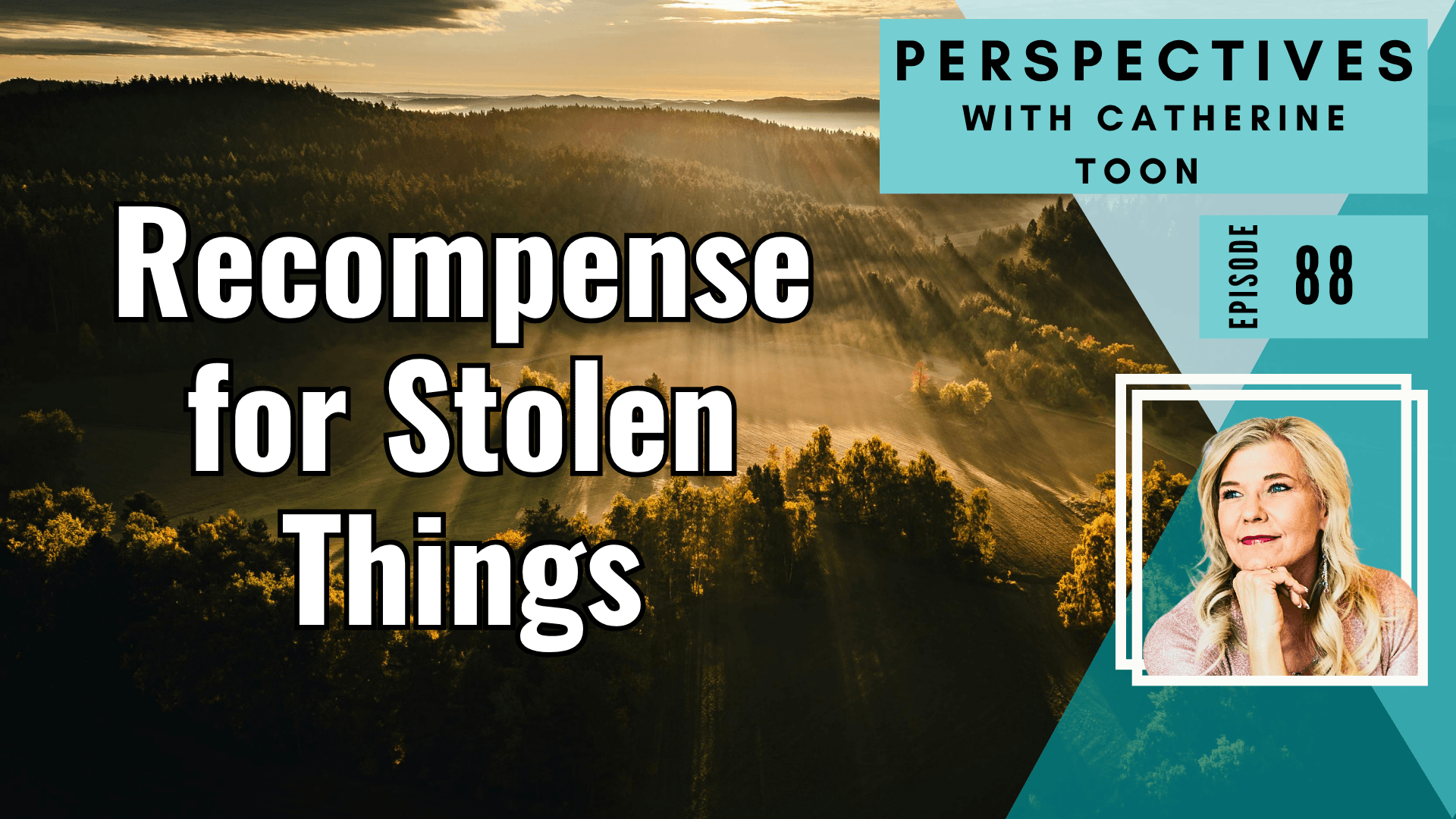 Recompense for Stolen Things