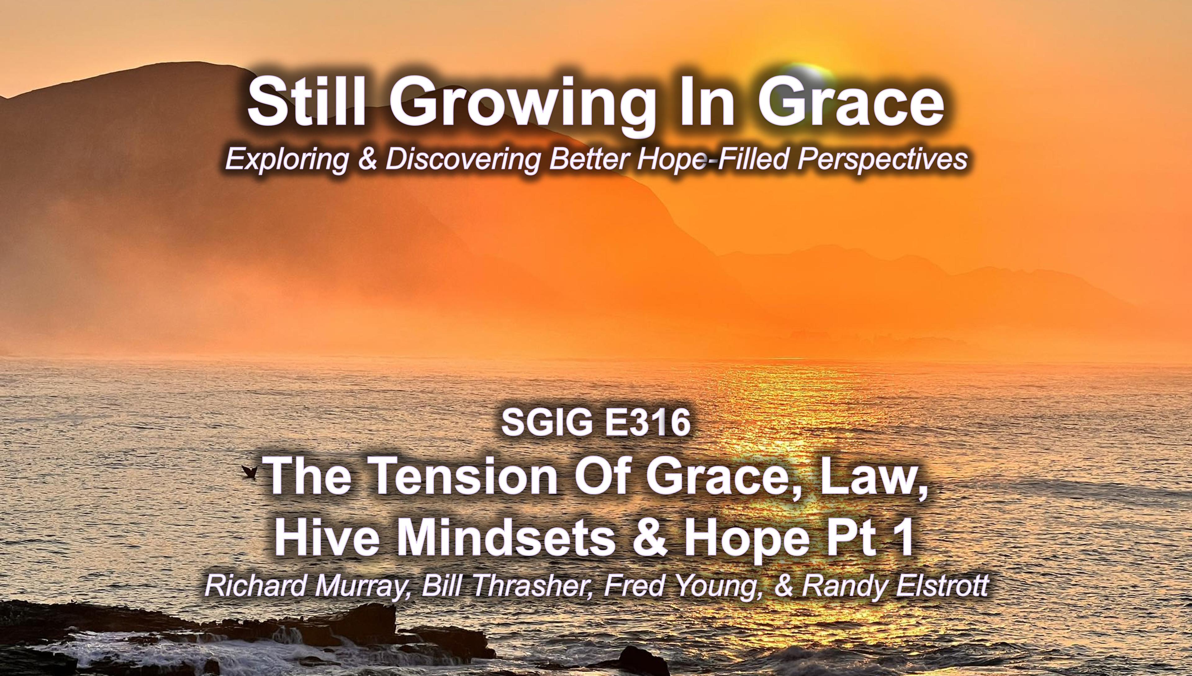 SGIG E316 The Tension Of Grace, Law, Hive Mindsets & Hope Pt 1
