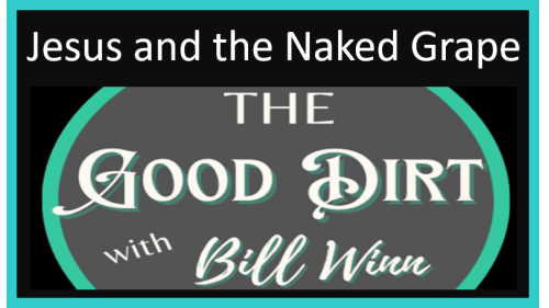 The Good Dirt with Bill Winn EP14 (Jesus and the Naked Grape)